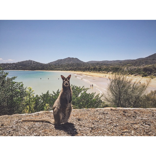 Photography from Melbourne and Australia by Daniel Bilsborough