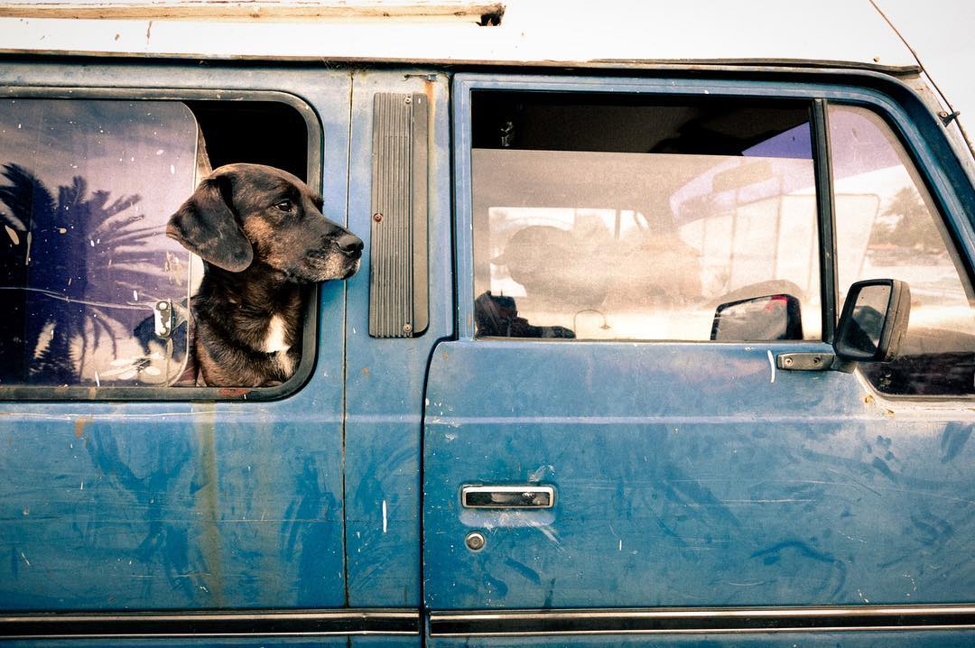 Photography from Melbourne and Australia by Daniel Bilsborough