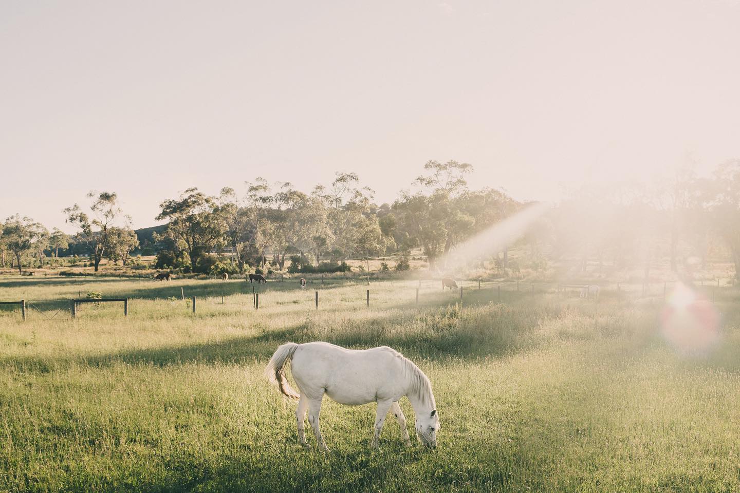Photography from Melbourne and Australia by Daniel Bilsborough