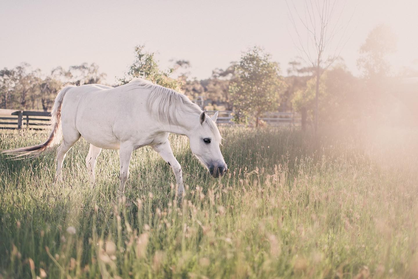 Photography from Melbourne and Australia by Daniel Bilsborough