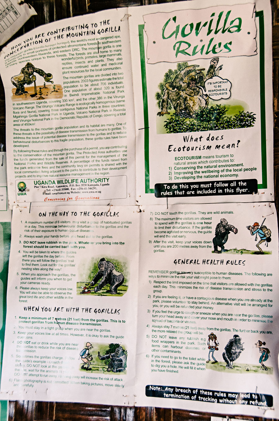 Gorilla Rules poster at Bwindi explaining ecotourism guidelines and what to expect with the mountain gorillas