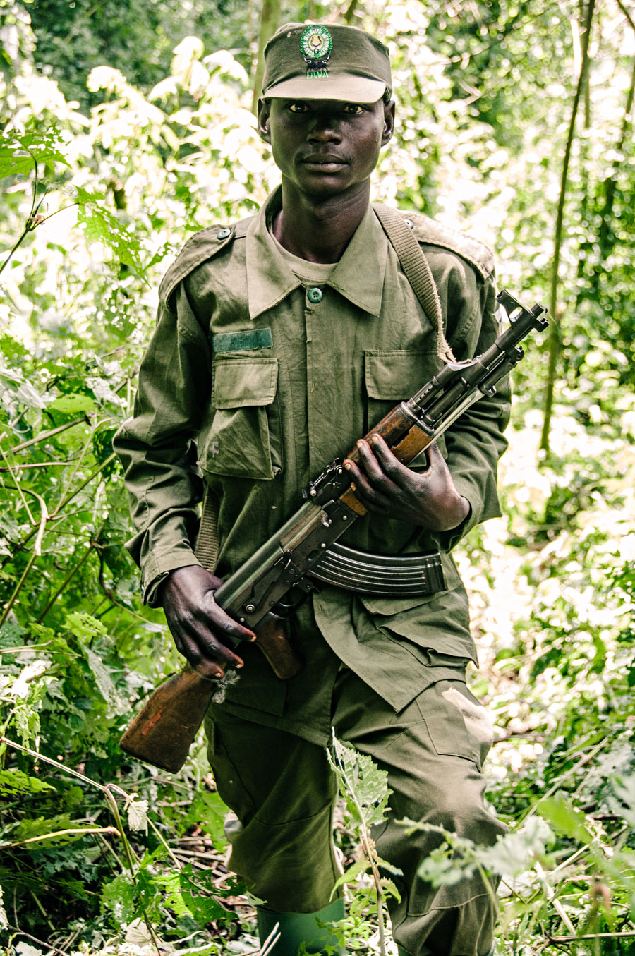 Ugandan army soldier with AK-47 providing anti-poaching protection for the mountain gorillas
