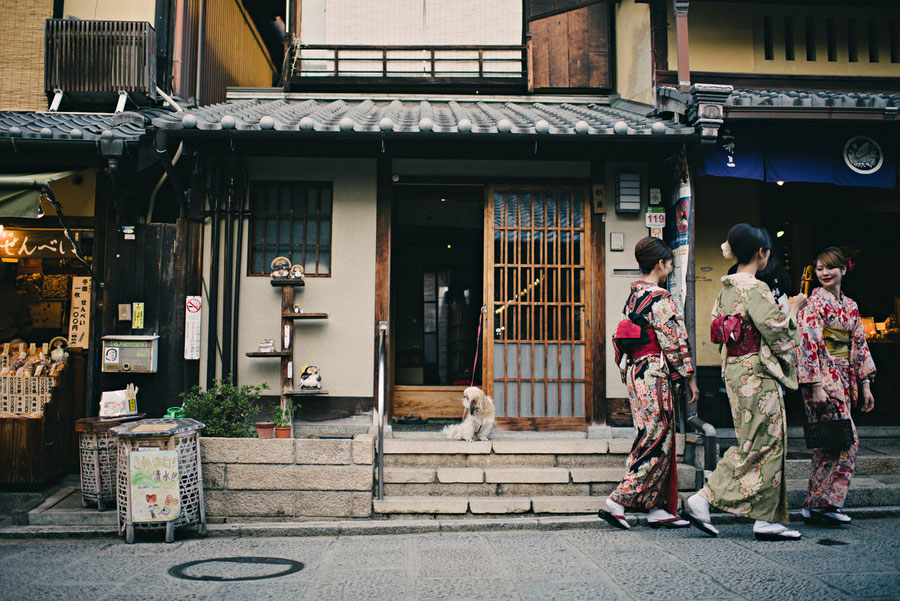 Three women in kimono walking past a traditional Kyoto townhouse with a dog watching from the steps