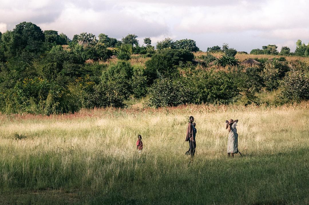 Family walking through tall grass in the Tanzanian countryside